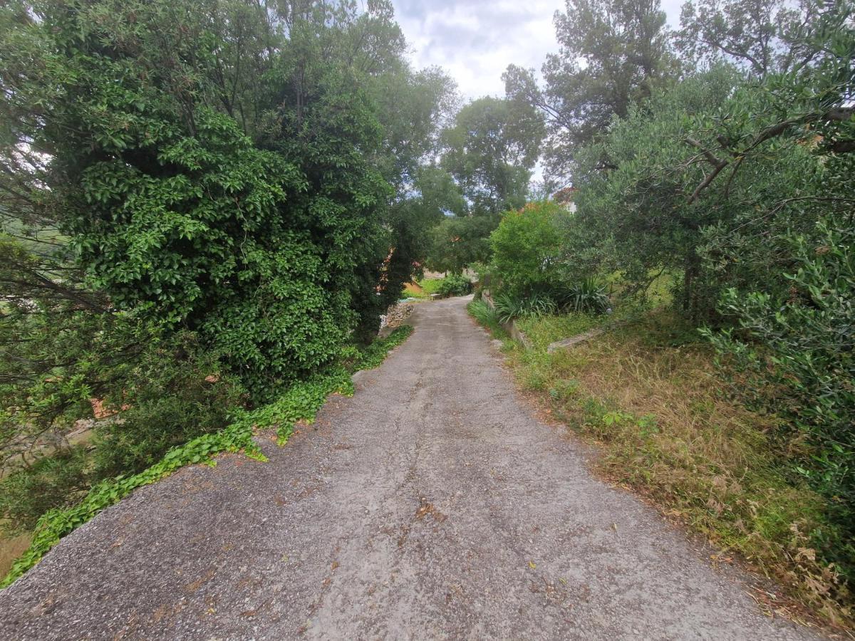 Kuca Za Odmor Dobrila Ξενοδοχείο Jelsa  Εξωτερικό φωτογραφία