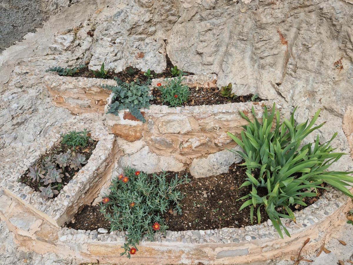 Kuca Za Odmor Dobrila Ξενοδοχείο Jelsa  Εξωτερικό φωτογραφία