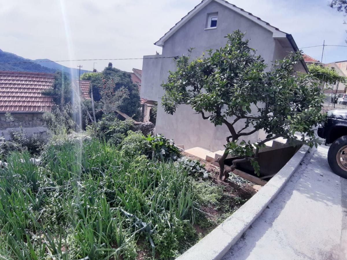 Kuca Za Odmor Dobrila Ξενοδοχείο Jelsa  Εξωτερικό φωτογραφία