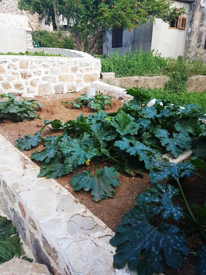 Kuca Za Odmor Dobrila Ξενοδοχείο Jelsa  Εξωτερικό φωτογραφία
